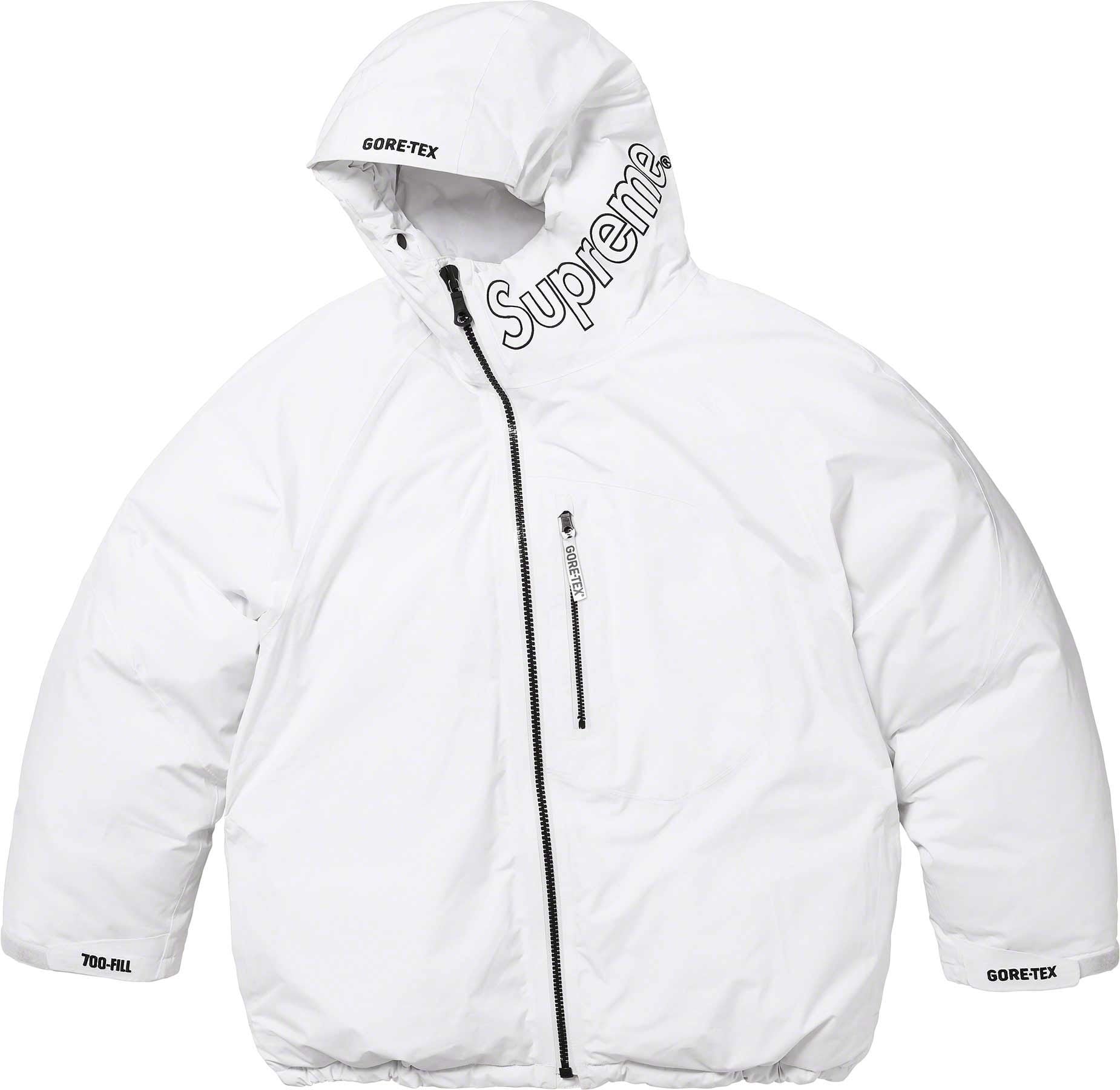 GORE-TEX 700-Fill Down Parka view 31